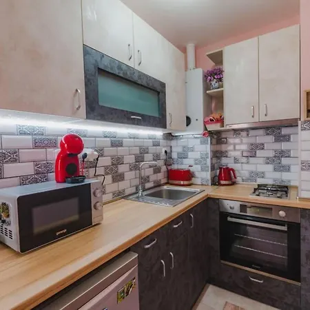 New & Comfortable In Center Apartment