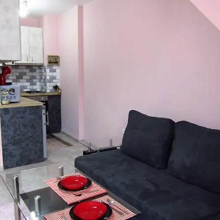 New & Comfortable In Center Apartment