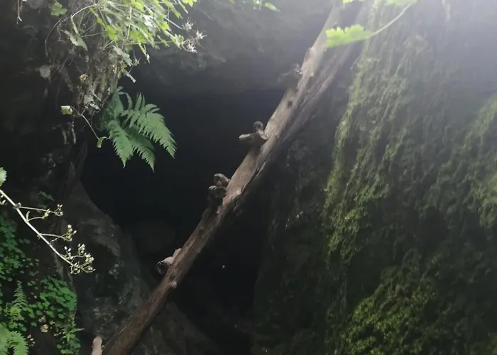 Daire New & Comfortable In Center *