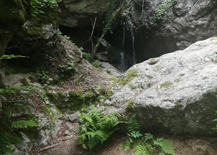 New & Comfortable In Center Daire Yukarı Cuma