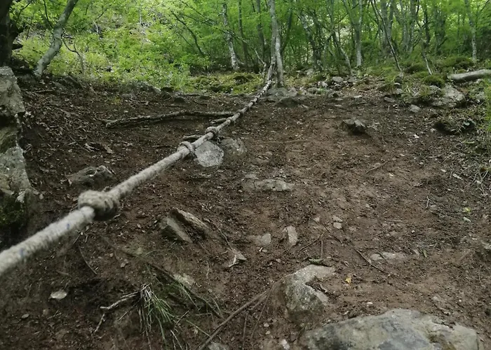 New & Comfortable In Center *